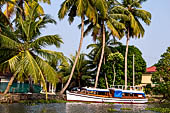 Kerala backwaters, our three hours neighborhood tour in the narrow canoe towards Vembanad Lake and along one of the  narrow canal running near our guest house at Kumarakom. 